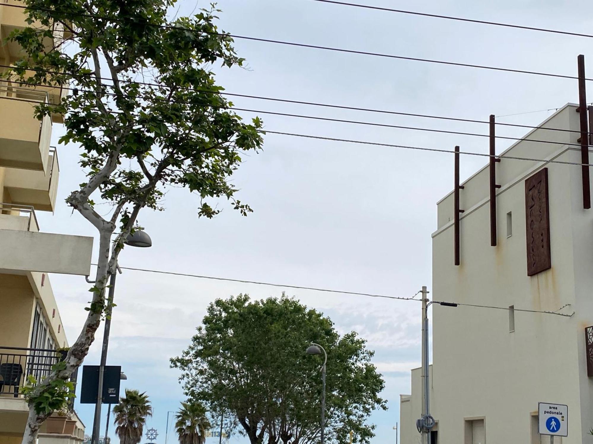 Hotel Piccari Nuova Gestione Rimini Dış mekan fotoğraf